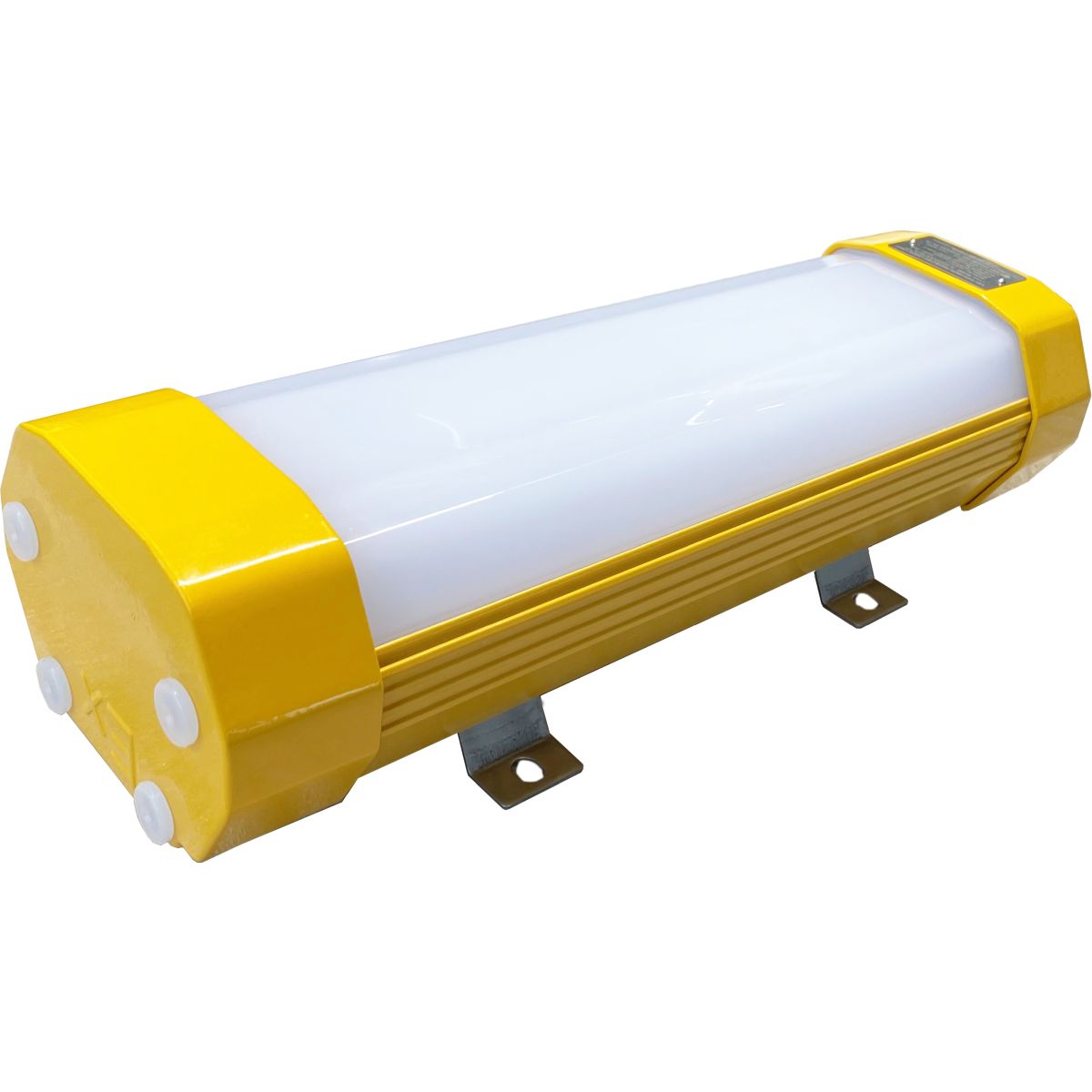 EX LED-Deckenleuchte ELBRO, 24 W, IP66, für Zonen 1, 21, 2 und 22, Zuleitung 10 m